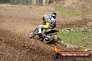 Champions Ride Days MotoX Broadford 27 10 2013 - 3CR_6903