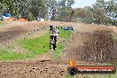 Champions Ride Days MotoX Broadford 27 10 2013 - 3CR_6905