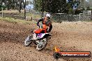 Champions Ride Days MotoX Broadford 27 10 2013 - 3CR_6925