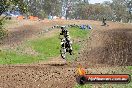 Champions Ride Days MotoX Broadford 27 10 2013 - 3CR_6959