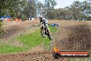 Champions Ride Days MotoX Broadford 27 10 2013 - 3CR_7015