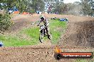 Champions Ride Days MotoX Broadford 27 10 2013 - 3CR_7032