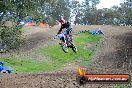 Champions Ride Days MotoX Broadford 27 10 2013 - 3CR_7045