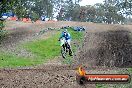 Champions Ride Days MotoX Broadford 27 10 2013 - 3CR_7051