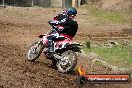 Champions Ride Days MotoX Broadford 27 10 2013 - 3CR_7111