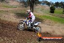Champions Ride Days MotoX Broadford 27 10 2013 - 3CR_7135