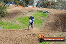 Champions Ride Days MotoX Broadford 27 10 2013 - 3CR_7173