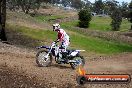 Champions Ride Days MotoX Broadford 27 10 2013 - 3CR_7193