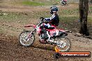 Champions Ride Days MotoX Broadford 27 10 2013 - 3CR_7202