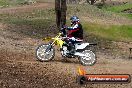 Champions Ride Days MotoX Broadford 27 10 2013 - 3CR_7214