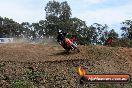 Champions Ride Days MotoX Broadford 27 10 2013 - 3CR_7307