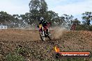 Champions Ride Days MotoX Broadford 27 10 2013 - 3CR_7309