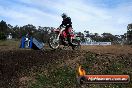 Champions Ride Days MotoX Broadford 27 10 2013 - 3CR_7311