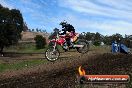 Champions Ride Days MotoX Broadford 27 10 2013 - 3CR_7313