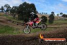 Champions Ride Days MotoX Broadford 27 10 2013 - 3CR_7314