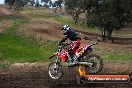 Champions Ride Days MotoX Broadford 27 10 2013 - 3CR_7315