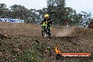 Champions Ride Days MotoX Broadford 27 10 2013 - 3CR_7326