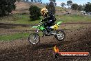 Champions Ride Days MotoX Broadford 27 10 2013 - 3CR_7331