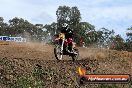 Champions Ride Days MotoX Broadford 27 10 2013 - 3CR_7342