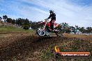 Champions Ride Days MotoX Broadford 27 10 2013 - 3CR_7344