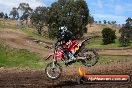 Champions Ride Days MotoX Broadford 27 10 2013 - 3CR_7346