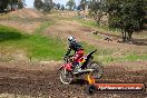 Champions Ride Days MotoX Broadford 27 10 2013 - 3CR_7347