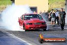 APSA Finals Sydney Dragway 24 11 2013 - 20131124-JC-SD-3320