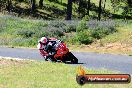 Champions Ride Day Broadford 01 11 2013 - 4CR_0139