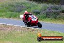 Champions Ride Day Broadford 15 11 2013 - 5CR_0091