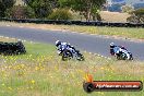 Champions Ride Day Broadford 23 11 2013 - 5CR_0029