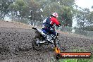 Champions Ride Days MotoX Broadford 24 11 2013 - 6CR_2337