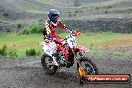 Champions Ride Days MotoX Broadford 24 11 2013 - 6CR_2342