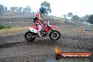 Champions Ride Days MotoX Broadford 24 11 2013 - 6CR_2345