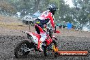 Champions Ride Days MotoX Broadford 24 11 2013 - 6CR_2349