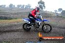 Champions Ride Days MotoX Broadford 24 11 2013 - 6CR_2354