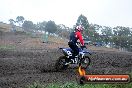 Champions Ride Days MotoX Broadford 24 11 2013 - 6CR_2357