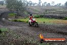 Champions Ride Days MotoX Broadford 24 11 2013 - 6CR_2358