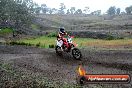 Champions Ride Days MotoX Broadford 24 11 2013 - 6CR_2359