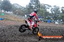 Champions Ride Days MotoX Broadford 24 11 2013 - 6CR_2364