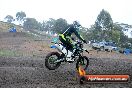 Champions Ride Days MotoX Broadford 24 11 2013 - 6CR_2382