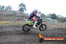 Champions Ride Days MotoX Broadford 24 11 2013 - 6CR_2389