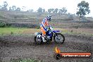 Champions Ride Days MotoX Broadford 24 11 2013 - 6CR_2402