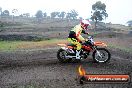Champions Ride Days MotoX Broadford 24 11 2013 - 6CR_2420