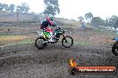 Champions Ride Days MotoX Broadford 24 11 2013 - 6CR_2431