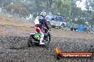 Champions Ride Days MotoX Broadford 24 11 2013 - 6CR_2434