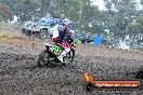 Champions Ride Days MotoX Broadford 24 11 2013 - 6CR_2435