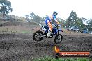 Champions Ride Days MotoX Broadford 24 11 2013 - 6CR_2443