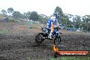 Champions Ride Days MotoX Broadford 24 11 2013 - 6CR_2444