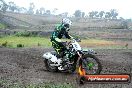 Champions Ride Days MotoX Broadford 24 11 2013 - 6CR_2474