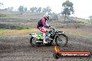 Champions Ride Days MotoX Broadford 24 11 2013 - 6CR_2491